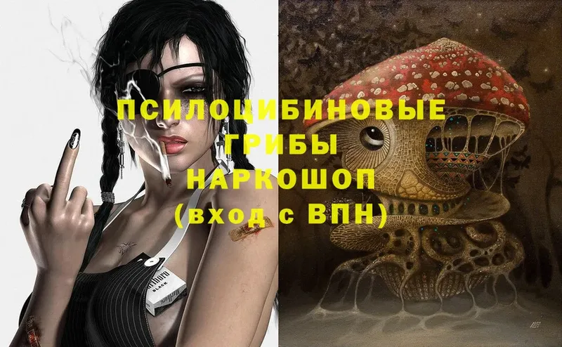 Псилоцибиновые грибы Magic Shrooms  Муром 